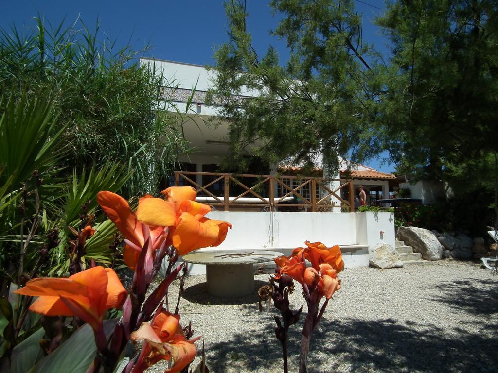 Da Silva Surfcamp Hostel Areia Branca Kültér fotó